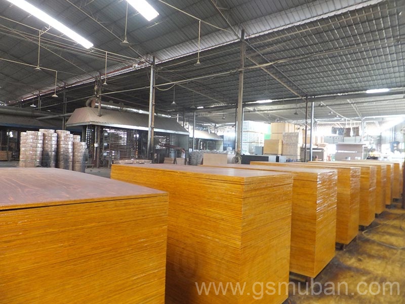 什么是桉木模板？廣西模板廠家推薦